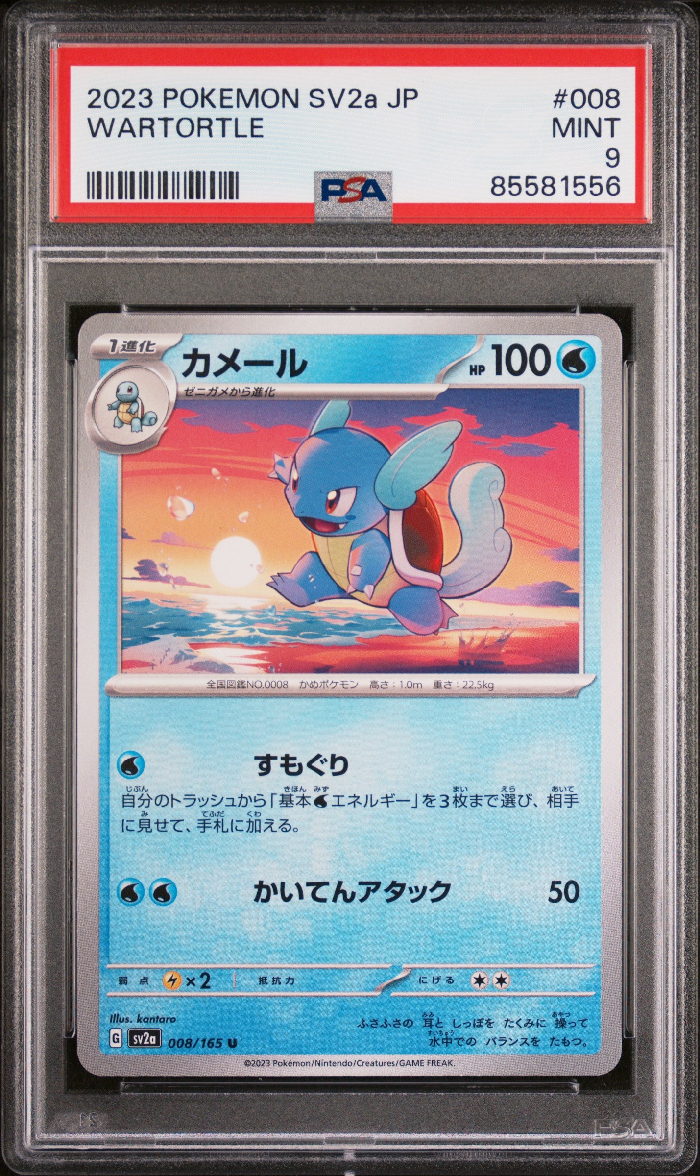 2023 Japanese Pokémon SV2a - Pokémon 151 Collectible Trading Card - WARTORTLE #8 Graded PSA MINT 9